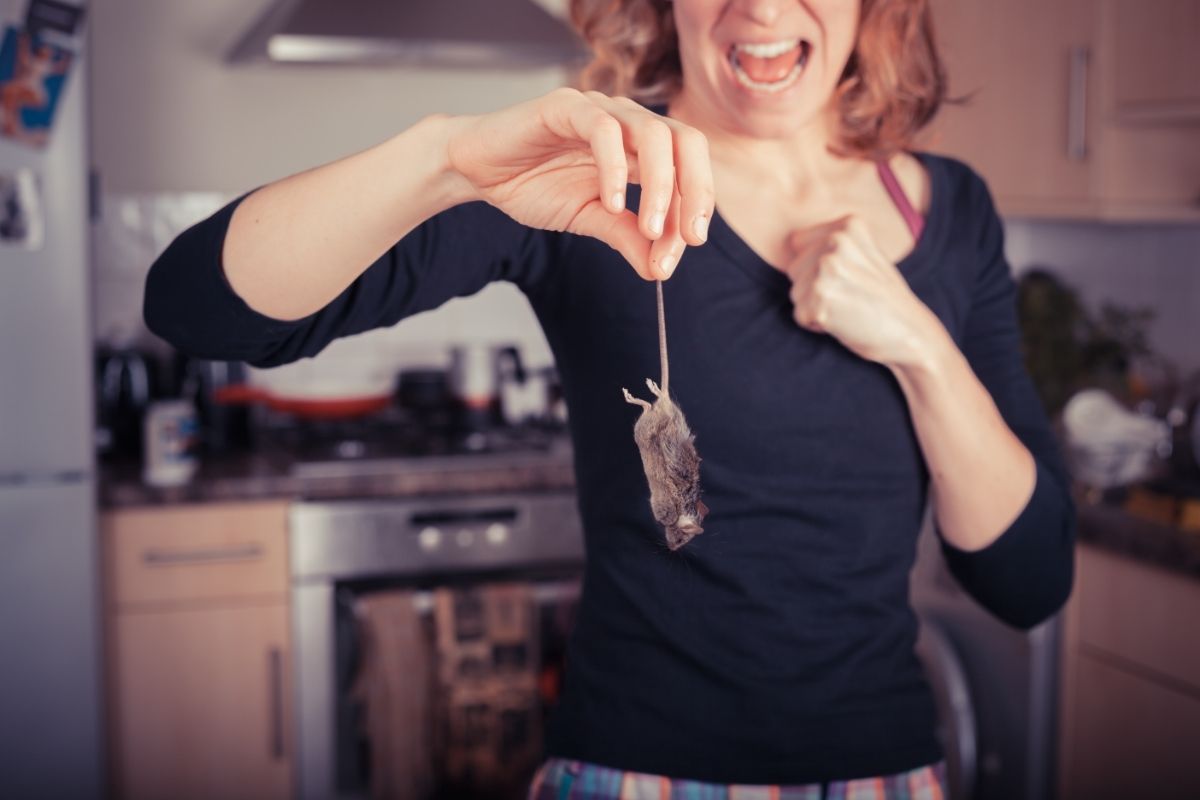 Woman with Mouse in Kitchen