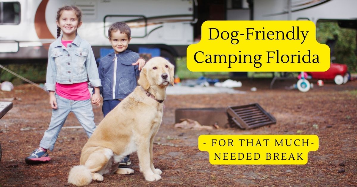 Dog-Friendly Camping Florida