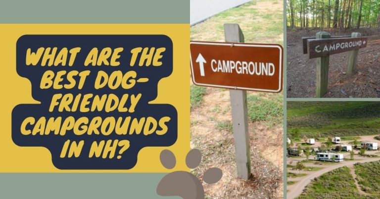 What are the BEST Dog-Friendly Campgrounds in NH