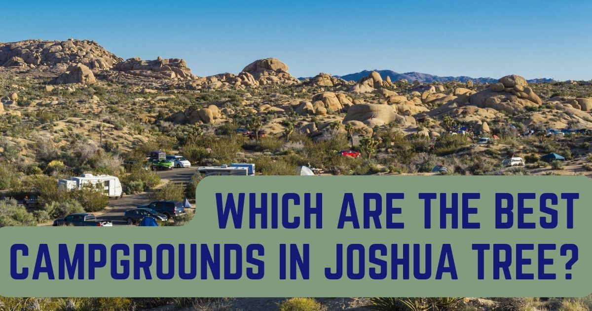 best campgrounds in joshua tree
