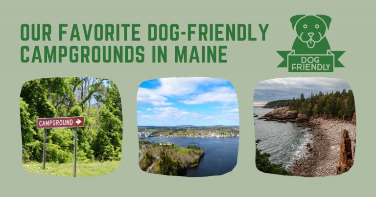 Dog-Friendly Campgrounds in Maine