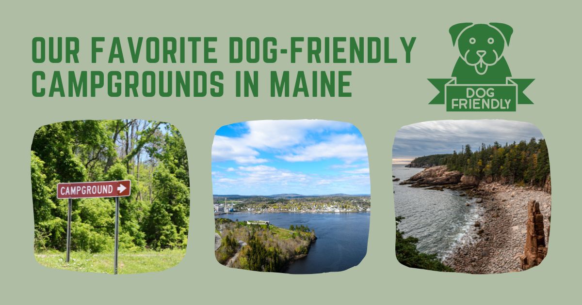 Dog-Friendly Campgrounds in Maine
