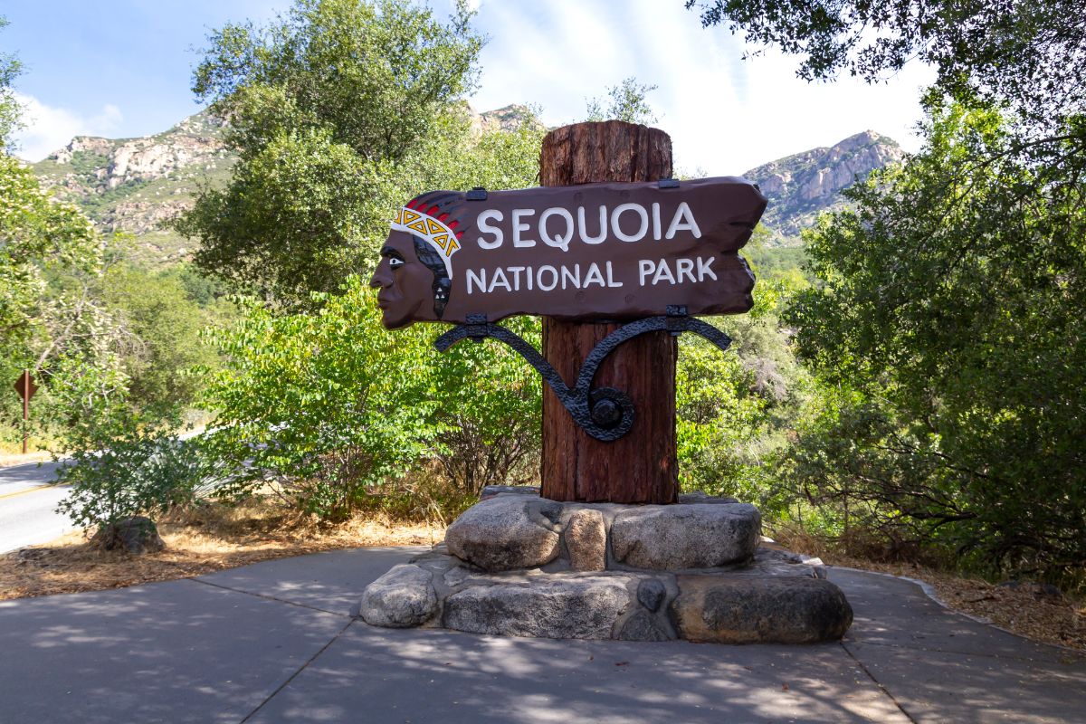 The Sequoia National park 