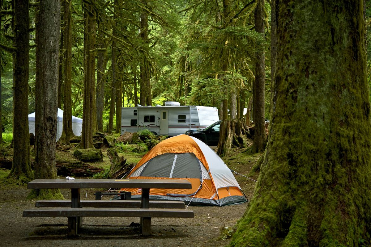 Tent and travel trailer camping