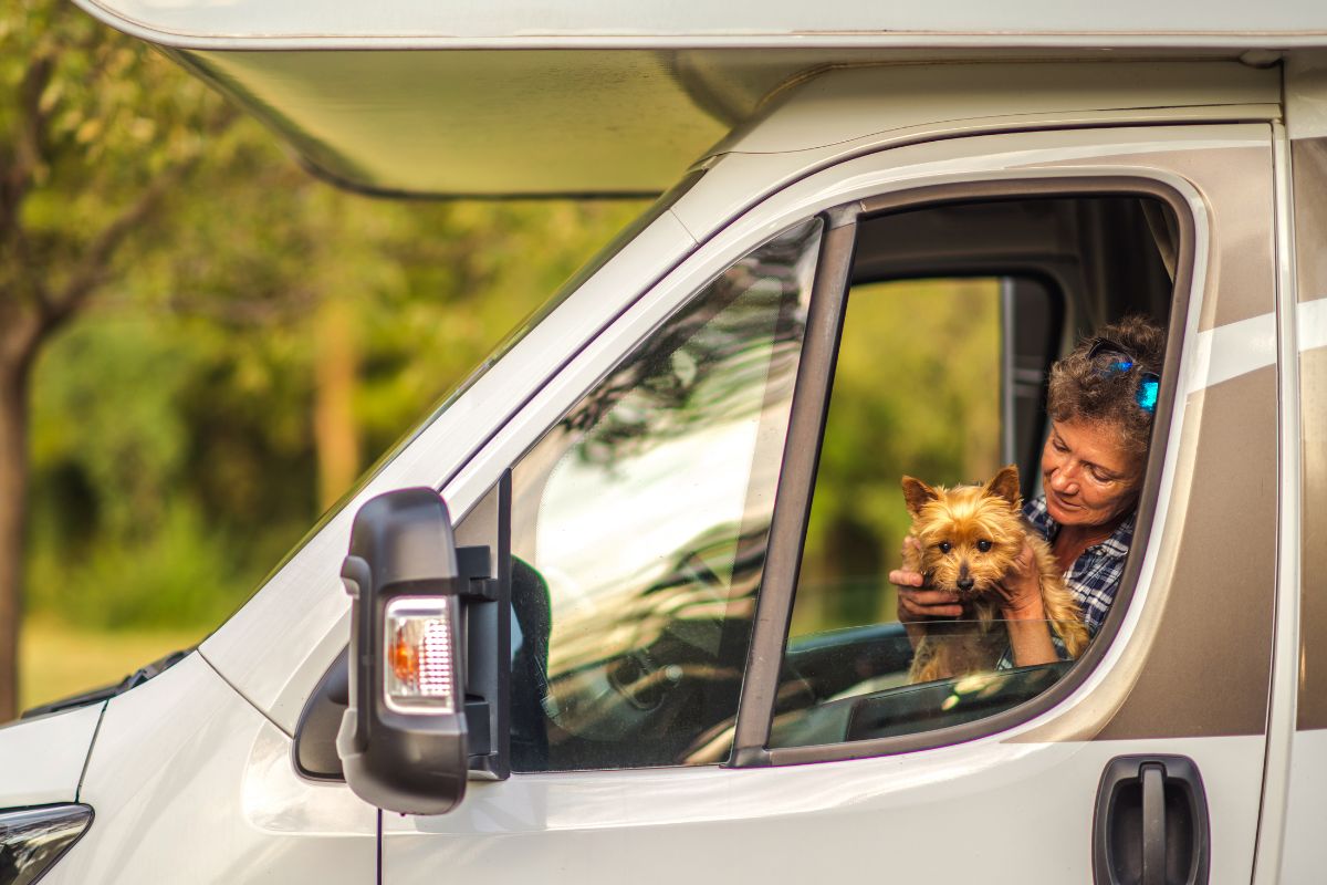 RV van with dog